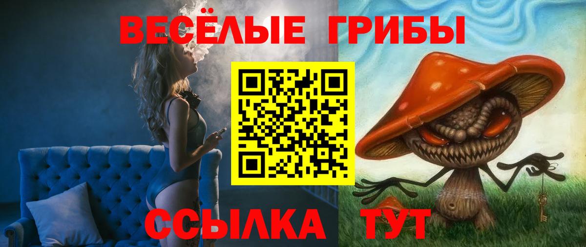 Псилоцибиновые грибы Psilocybe  Вход с VPN  Псилоцибиновые грибы Psilocybe  Гуково 